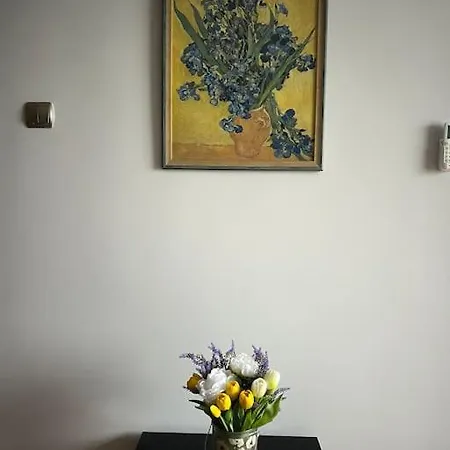 公寓 Brand New! 2bdr Lux Rayko *